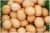 Import Fresh brown and white Shell Chicken Eggs from Germany