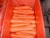 Import Fresh Carrot/Sliced Carrot/Diced Carrot From Shandong China from China