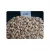 Import Fresh Cashew Nuts Kernels With Nice Price W180 W240 W320 from Brazil