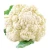 Import Fresh Cauliflower and Frozen Cauliflower ,Fresh Cauliflower vegetable from Canada