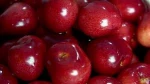 fresh cherries