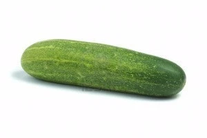Fresh Cucumber , Green Fresh Cucumber