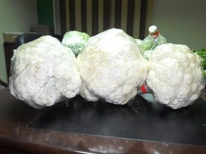 Fresh egyptian Cauliflower export Class 1