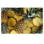 Fresh pineapples Top quality best Price Bulk Quantity available Wholesale dealer