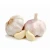 Import Fresh Pure White Garlic/ Normal White Garlic from Austria