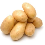 fresh sweet holland potato with high protein