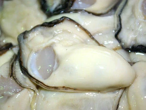 frozen oyster meat shellfish