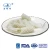 Import frozen pineapple cut squid cleaned from zhejiang zhoushan from China