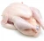 Import Frozen Whole Chicken! from India