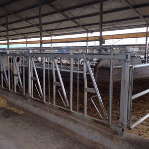 Galvanized Cattle Fencing Panels Used Cow Headlock For Sale