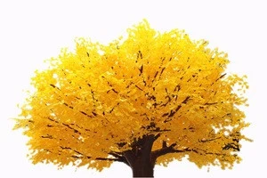 Good price High Simulation ornamental foliage plant huge artificial ginkgo autumn tree indoor outdoor for Lobby Home Decoration