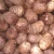 Import good quality fresh taro price from Thailand