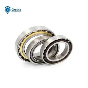 Good Quality Stainless Steel Factory Custom Double Row Angular Contact Ball Bearing