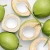 Import Green Young Coconut, Organic Fresh Coconut Milk Wholesales from Vietnam