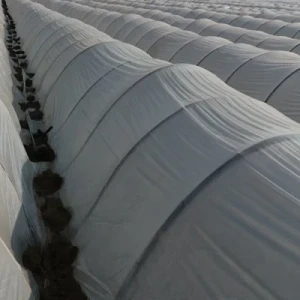 Ground Cover 100% PP Woven Weed Control Fabric Multi-Span Agricultural Greenhouses Spun-Bonded Qingdao Factory