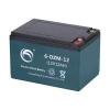 Guangdong Kejian 36V 48V 60V Electric Scooter/Motorcycle/Bicycle/Vehicle Battery 6 DZM 12 Chilwee Battery
