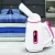 Import Handheld Garment Wrinkle Remover. Portable Mini Steam Iron, Clothing and Fabric Accessory Steamer from USA