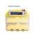 Import HHD 12v /110/220 automatic mini 112 chicken egg incubator for sale from China
