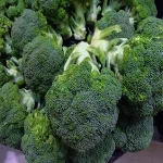 High Grade Fresh Broccoli