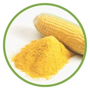 High Quality Corn Flour Yellow & White Corn Flour /Sweet Corn Flour