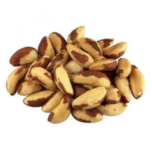 High Quality Ellagic Acid Selenium Mineral Raw Organic Brazil Nut Large