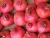 Import High quality Fresh Pomegranates Wholesaler from South Africa