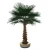 Import High Quality Landscape Fiberglass Artificial Coconut Palm Tree for Indoor and Outdoor Decoration from China