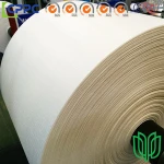 High Quality OEM PP Woven Fabric Roll, Woven Polypropylene Fablic in Roll for PP Woven Bag