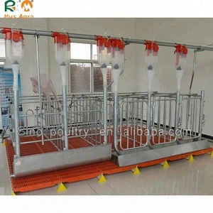 High quality Pig Crates Gestation Stall/Gestation Equipment