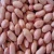 Import High Quality Raw Bold Peanuts - Runner Variety Peanut from Brazil