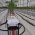 Import High quality soiless growing cocopeat trough greenhouse gutter machine hydroponic from China