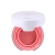 Import High quality whole sale cushion blush palette from China