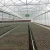 Import High Tunnel Column Greenhouse Plastic Film Greenhouse from China