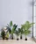 Import home and garden High Simulation Leaves imitation evergreen potted plants from China