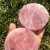 Home Decor Rose Stone Coasters ,Pink quartz Platter,Agate Slices