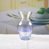 Home decoration transparent crystal glass vase