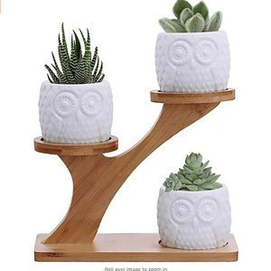 Home Office Desk Garden Mini Cactus Pot 3 Tier Bamboo Saucers Stand Holder