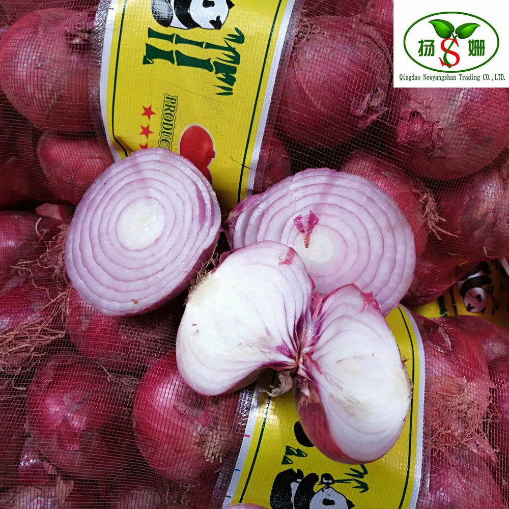 HOT--CHINA New crop red onion bags and cartons fresh onion hot sale