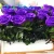 Import Hot new crazy selling eternal flowers preserved rose in acrylic gift box from China