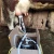 Import hot sale Livestock Milking Equipment milking machine for cows from China