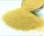 Import Hot Selling Good Price Golden Yellow Bird Food Millet Panicle from China