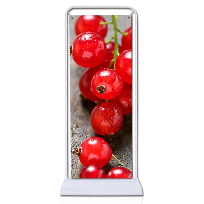 Hot selling Hanging picture iron frames display door shape banner stand/ metal display stand