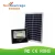 Import IR remote control led solar flood light 100w from China