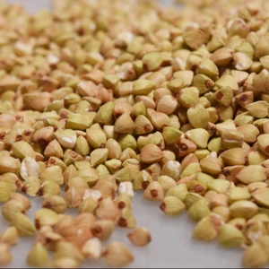 ISO HACCP BRC Certified Bulk Wholesale Buckwheat Price