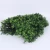 Import Landscaping artificial boxwood hedge green panel vertical plant wall for garden backyard home decorations from China