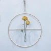Large nordic hanging wall gold glass tube flower vase home decoration