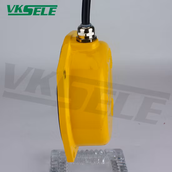 Import Lfb-II Stainless Steel Thin Film Level Meters Pure Resistance 24-380V from China