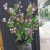 Import Living room home decoration plastic Artificial Fuzzy ball Spray arrangement dried flower bouquet artificial flower from China