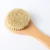 Import Long Handle Boar Back Brush Shower Wooden For Body Cleaning Materials Cactus Bamboo Bristle Body Brush Natural Bath Brush from China