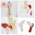 Import Medical science life size human spine anatomical model from China